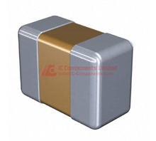 0402-(1005-Metric)-0.70mm-C-Series.jpg Image